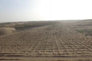 涼州區(qū)山水林田湖北部防風(fēng)固沙林建設(shè)項(xiàng)目 涼州區(qū)山水林田湖北部防風(fēng)固沙林建設(shè)項(xiàng)目