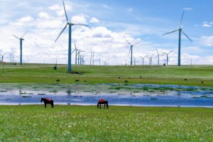 新能源公司經(jīng)營領(lǐng)域捷報(bào)頻傳 新能源公司經(jīng)營領(lǐng)域捷報(bào)頻傳