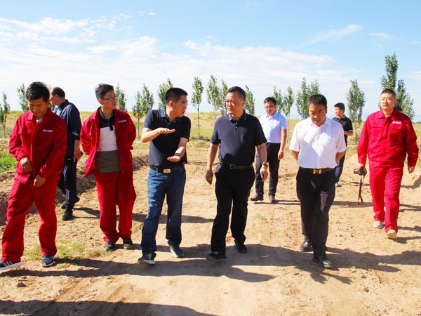 甘肅建投副總經(jīng)理孟康榮調(diào)研新能源公司 甘肅建投副總經(jīng)理孟康榮調(diào)研新能源公司
