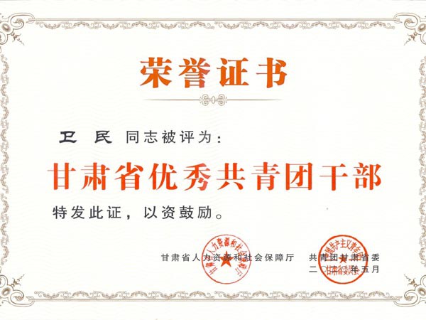 甘肅建投新能源科技股份有限公司團(tuán)支部青年代表參加“學(xué)習(xí)寄語(yǔ)精神，展現(xiàn)青春擔(dān)當(dāng)”座談會(huì)