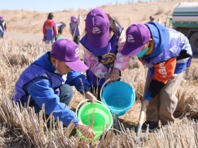 甘肅建投新能源公司沙漠研學(xué)旅行基地舉辦“我與小樹(shù)共成長(zhǎng)，爭(zhēng)做護(hù)綠小使者”主題研學(xué)活動(dòng)