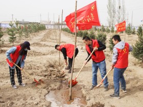 “美麗建投·青春行動(dòng)” ——新能源公司開(kāi)展植樹(shù)護(hù)綠活動(dòng)